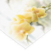 Yellow Moth Orchid in Sunshine Korte Tafelloper (Hoek)