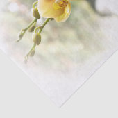 Yellow Moth Orchid in Sunshine Tissuepapier (Detail)