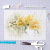 Yellow Moth Orchid in Sunshine Tissuepapier (Craft)