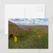 Yellow Mounds Overlook, Badlands NP, South Dakota Briefkaart (Voorkant / Achterkant)