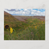 Yellow Mounds Overlook, Badlands NP, South Dakota Briefkaart (Voorkant)