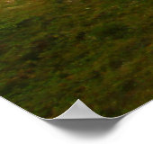 Yellow Mounds Overlook, Badlands NP, South Dakota Poster (Hoek)