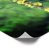 Yellow Mullein Wildflower Poster (Hoek)