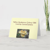 Yellow Mushroom Colony OBX Note Card Feestdagen Kaart (Achterkant)