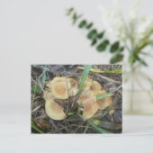 Yellow Mushroom OBX Briefkaart (Staand voorkant)