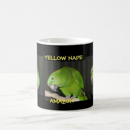 YELLOW NAPE AMAZON KOFFIEMOK (Center)