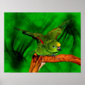 Yellow Naped Amazon Parrot Animal Art Poster (Voorkant)
