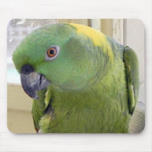 Yellow Naped Amazon PARROT Muismat (Voorkant)