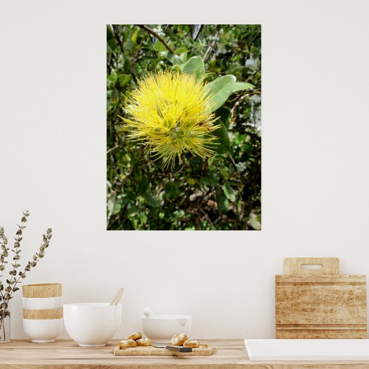 Yellow Ohia Lehua Poster (Keuken)