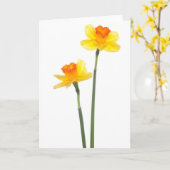 Yellow & Orange Jonquil Daffodils Kaart (Gele Bloem)