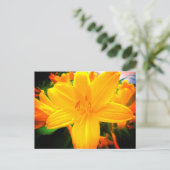 Yellow Oranje Day Lily Flowers Sunny Garden Briefkaart (Staand voorkant)