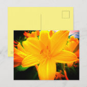 Yellow Oranje Day Lily Flowers Sunny Garden Briefkaart (Voorkant / Achterkant)