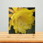 Yellow Orchid Cactus Bloom Floral Tegeltje