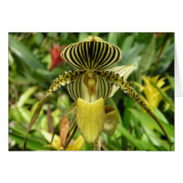 Yellow Orchid Flower Card