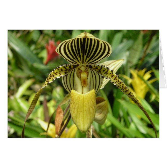 Yellow Orchid Flower Card (Voorkant Horizontaal)