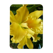 Yellow Orchid Magnet Magneet (Verticaal)