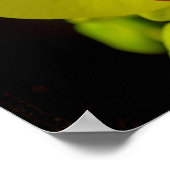 Yellow Orchid - Poster (Hoek)