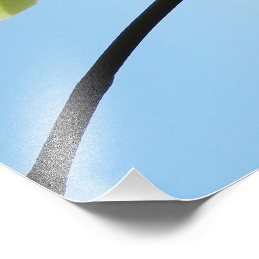 Yellow Orchids Foto Afdruk (Hoek)