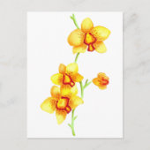 Yellow Orchids Waterverf Briefkaart (Voorkant)