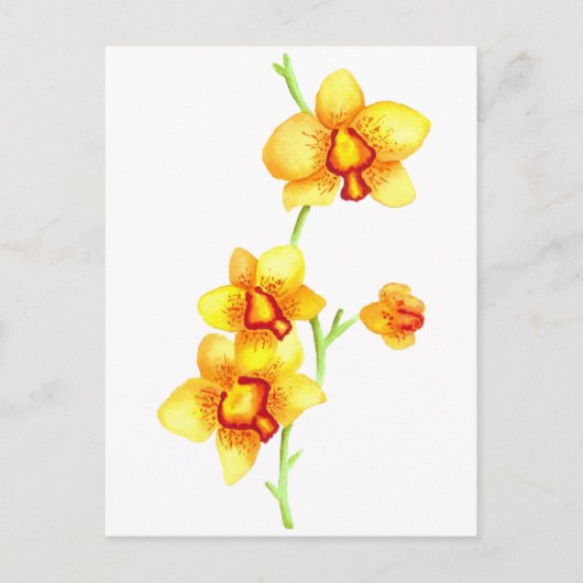 Yellow Orchids Waterverf Briefkaart (Voorkant)