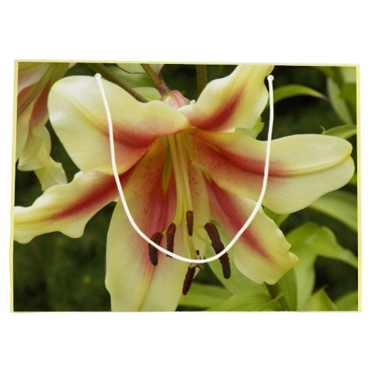 Yellow Orienpet Lily met Red Starburst Floral Large Cadeautasje (Achterkant)