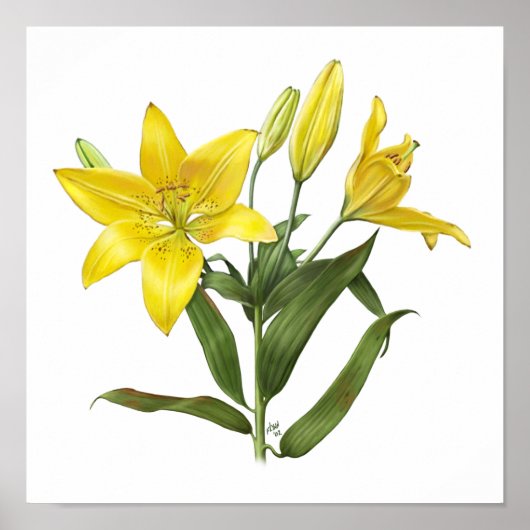 Yellow Oriental Lily Original Art Print (Voorkant)