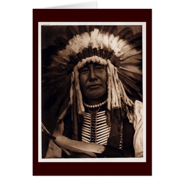 Yellow Owl (Voorkant)