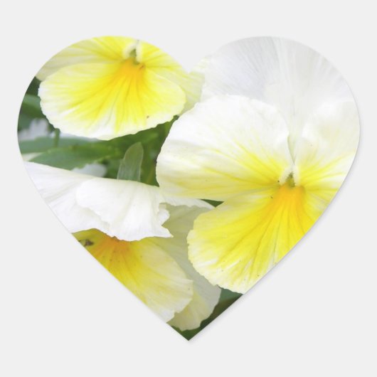 Yellow Pansies Stickers (Voorkant)