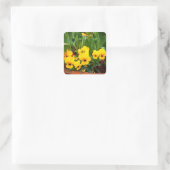 Yellow Pansy #1 stickers (Tas)