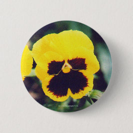 Yellow Pansy Ronde Button 5,7 Cm