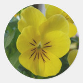 Yellow Pansy Ronde Sticker (Voorkant)