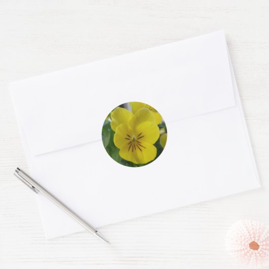 Yellow Pansy Ronde Sticker (Envelop)