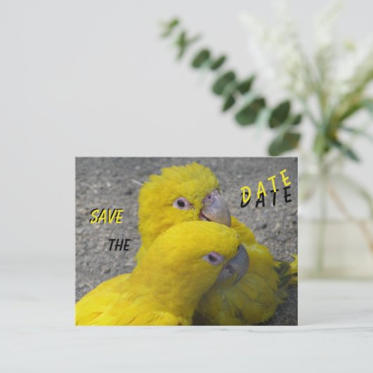 Yellow Parrots Couple SAVE de DATUM Briefkaart (Staand voorkant)