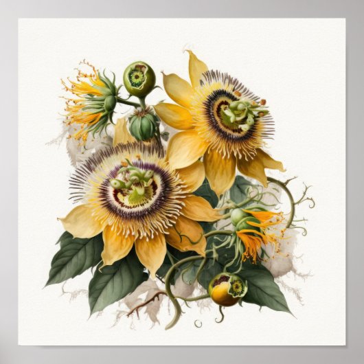 Yellow Passion Flower Art Print Poster (Voorkant)