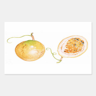 Yellow Passion Fruit Rechthoekige Sticker