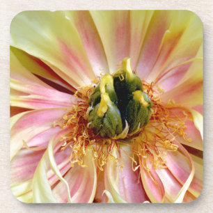 Yellow Peony.jpg Drankjes Onderzetter