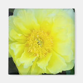 Yellow Peony Magneet (Voorkant)