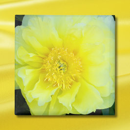 Yellow Peony Magneet