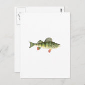 Yellow Perch Art Briefkaart (Voorkant / Achterkant)