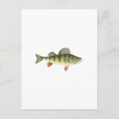 Yellow Perch Art Briefkaart (Voorkant)