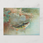 Yellow Perch by S.A. Kilbourne, Vintage Fish Briefkaart (Voorkant)