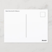 Yellow Perch by S.A. Kilbourne, Vintage Fish Briefkaart (Achterkant)