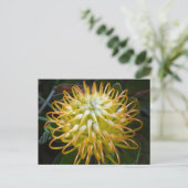 Yellow Pincushion Flower Briefkaart (Staand voorkant)