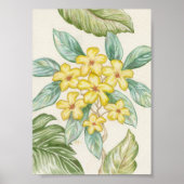 Yellow Plumeria art print (Voorkant)