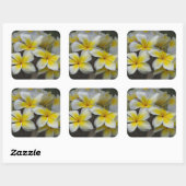 Yellow Plumeria Flower, Hawaii Photography Vierkante Sticker (Vel)