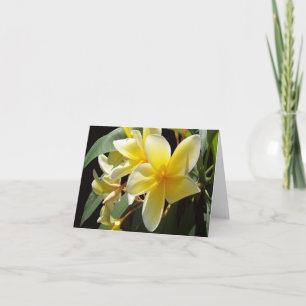 Yellow Plumeria Photo Folded Note Kaart