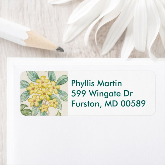 Yellow Plumeria return address label (Insitu)