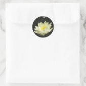 Yellow Pond Lily Sticker (Tas)