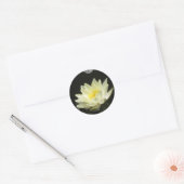 Yellow Pond Lily Sticker (Envelop)