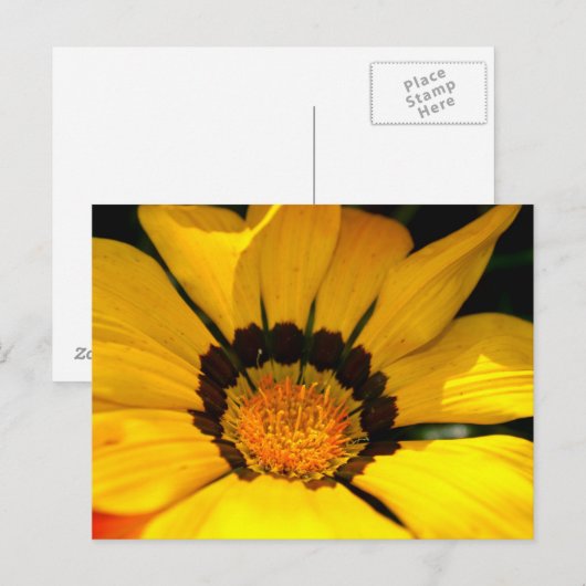 Yellow Power Briefkaart (Voorkant / Achterkant)